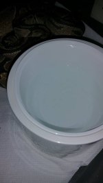 water 4.jpg
