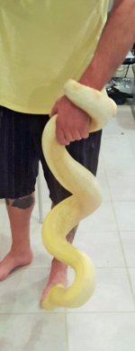 big1.jpg