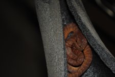 8DSC_0006.jpg