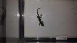 20151008_224605.jpg