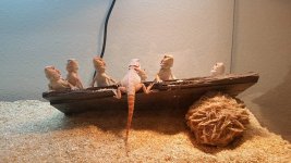 Group Pic 2.jpg