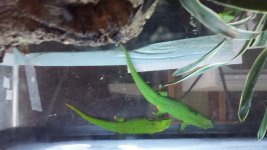 20151009_081021.jpg