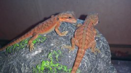 20150827_200105.jpg