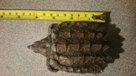20150726_204837.jpg