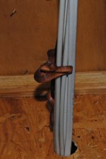 9DSC_0004.JPG