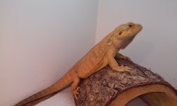 20160114_142153.jpg