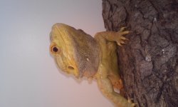 20160114_142245.jpg
