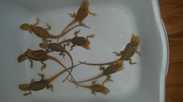 20150828_175237.jpg