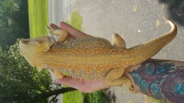 20150812_171243.jpg
