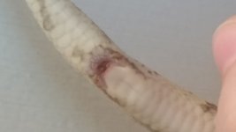 20160114_154800.jpg