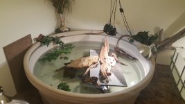 20151119_062943.jpg