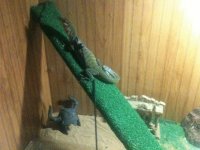 IMG_1242.jpg