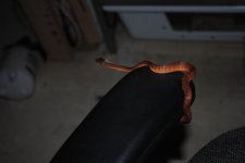 10DSC_0002.jpg