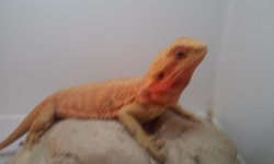 20160114_175652.jpg