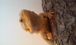 20160114_142250.jpg