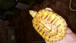 20151005_173821.jpg