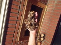 20151006_205417.jpg