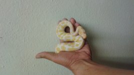 20151218_094012.jpg