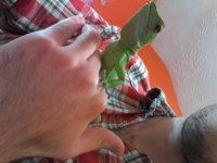 20130901_142536.jpg