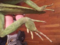 20150713_195301.jpg