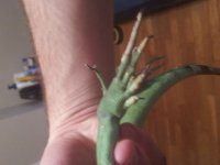 20150713_195324.jpg