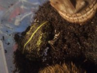 20150713_195607.jpg