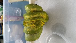 20151004_100815.jpg