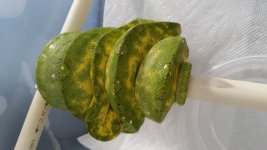 20151007_110630.jpg