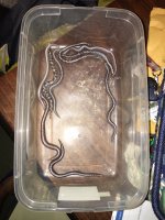 sand boa clutch 1.jpg