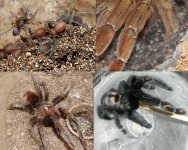 2015-12-06.jpg