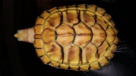 20151214_102938.jpg