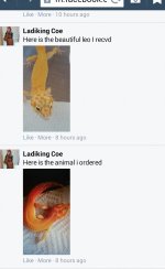 Screenshot_2015-08-18-22-09-02-1.jpg