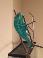 IMG_3482.jpg