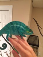 IMG_5897.jpg