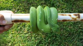 20150829_095307.jpg