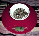 176195_402946_VeryLarge_fvkswfuiD3.jpg