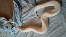 20150818_184853.jpg