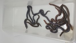 20150819_160742.jpg