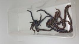 20150819_160724.jpg