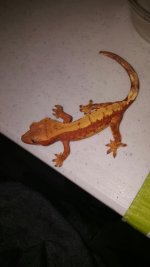 20150920_1255561.jpg