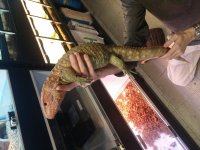 20160115_170415.jpg