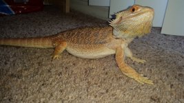20150829_161245.jpg