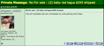 Baby Red Tegu Post Proof.png