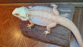 20160116_111223.jpg