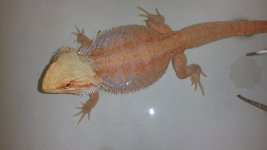 20160116_110421.jpg