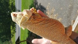 20150813_160401.jpg