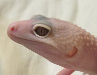 Sunrise eye.jpg