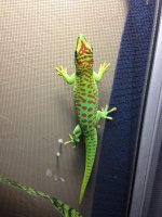 mikespics 010.jpg