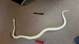 20151122_121603.jpg