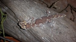 20150827_193513.jpg